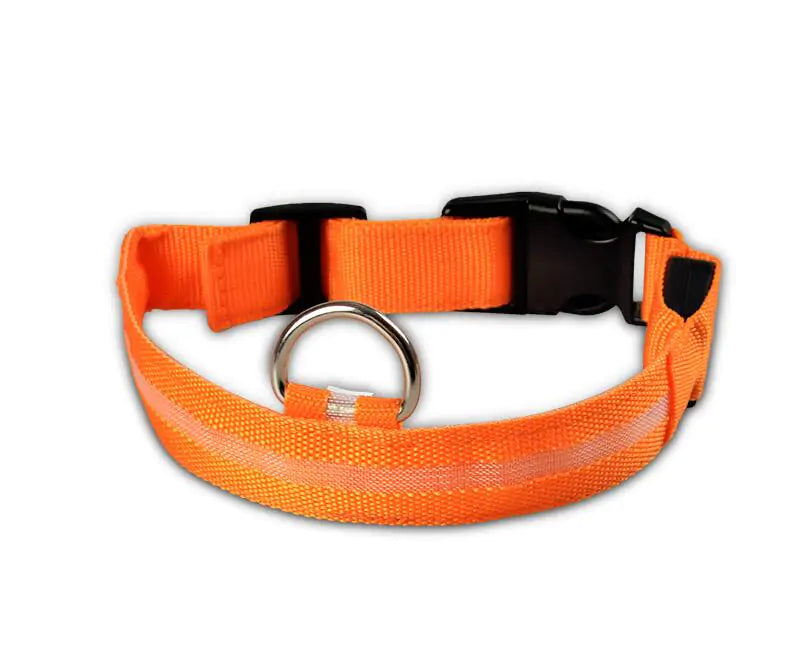 LED Dog Safety Collar – Night Glow