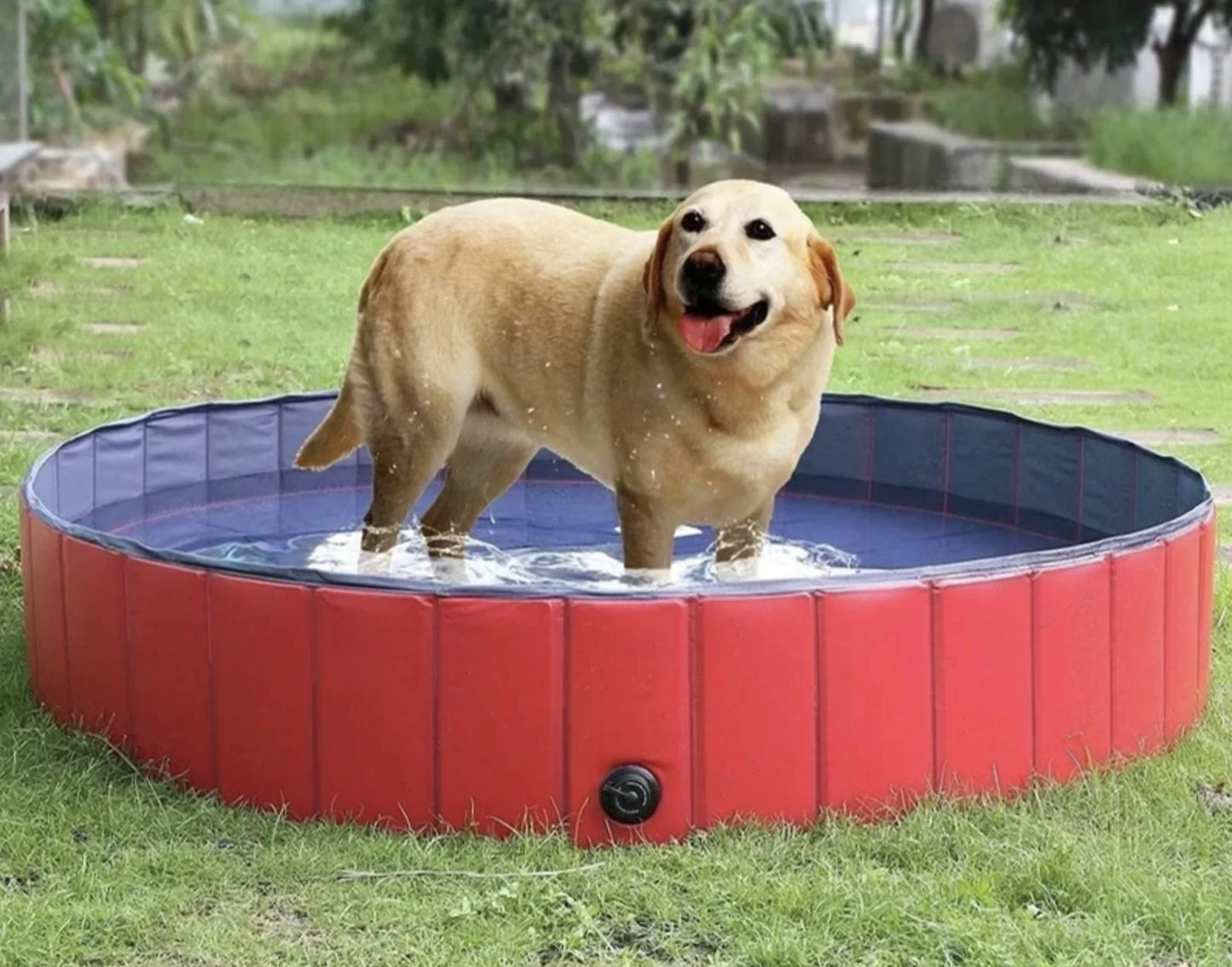 Foldable Pet Swimming Pool