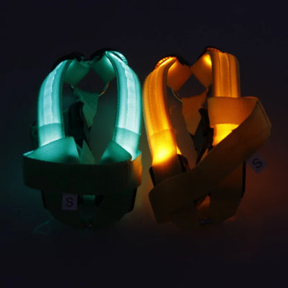 LED Nylon Pet Safety Harness