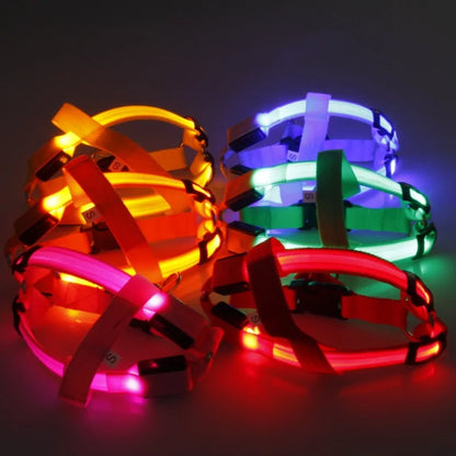 LED Nylon Pet Safety Harness
