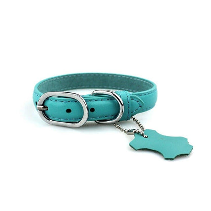 Classic Leather Dog Collar with Hangtag