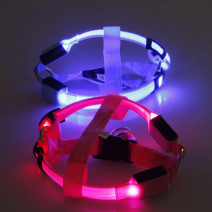 LED Nylon Pet Safety Harness