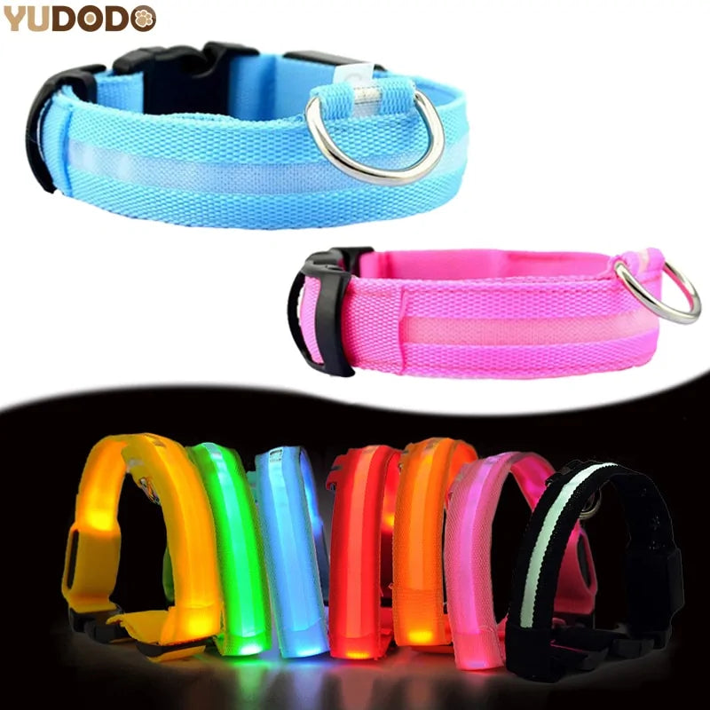 LED Dog Safety Collar – Night Glow