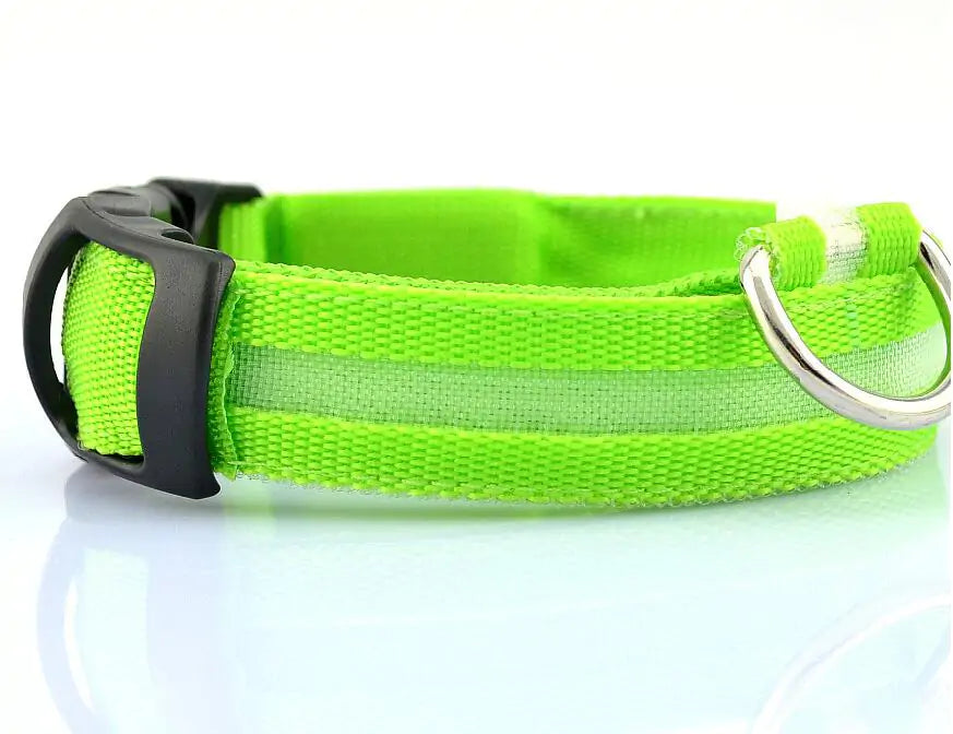 LED Dog Safety Collar – Night Glow