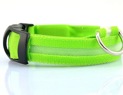 LED Dog Safety Collar – Night Glow