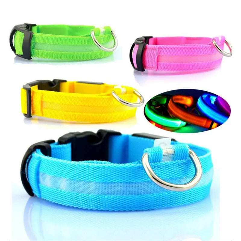 LED Dog Safety Collar – Night Glow